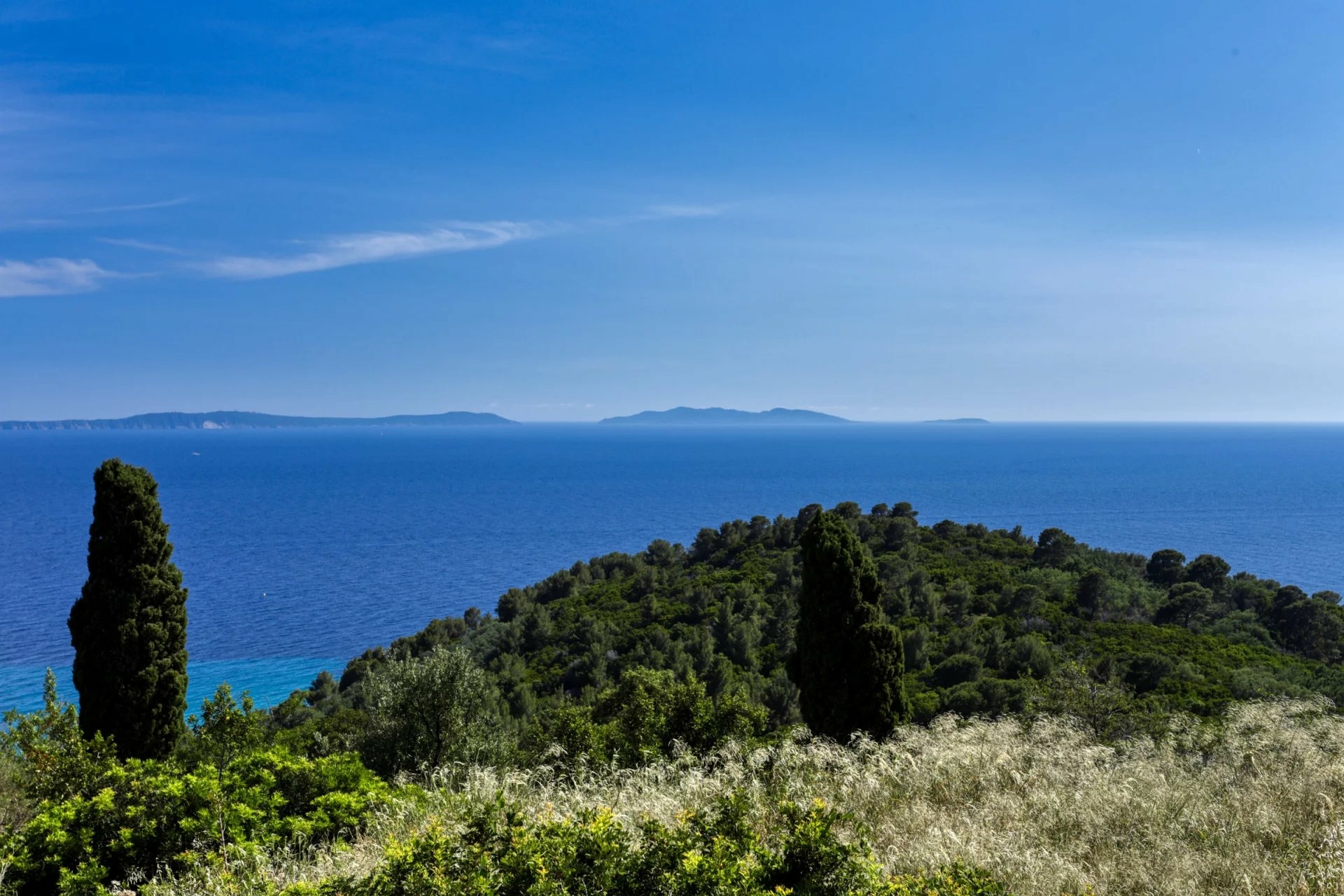 Vue mer et collines au naturel - Bureaux à vendre à Monaco