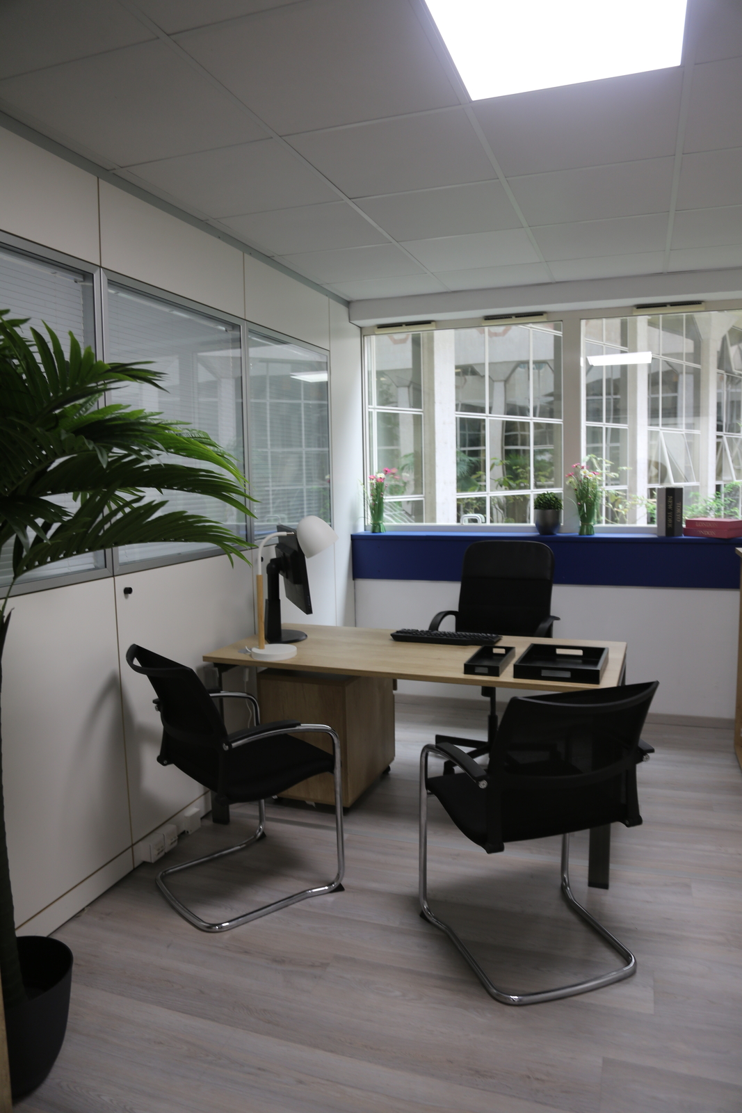 Beautiful offices in a business center - Uffici da affittare a montecarlo