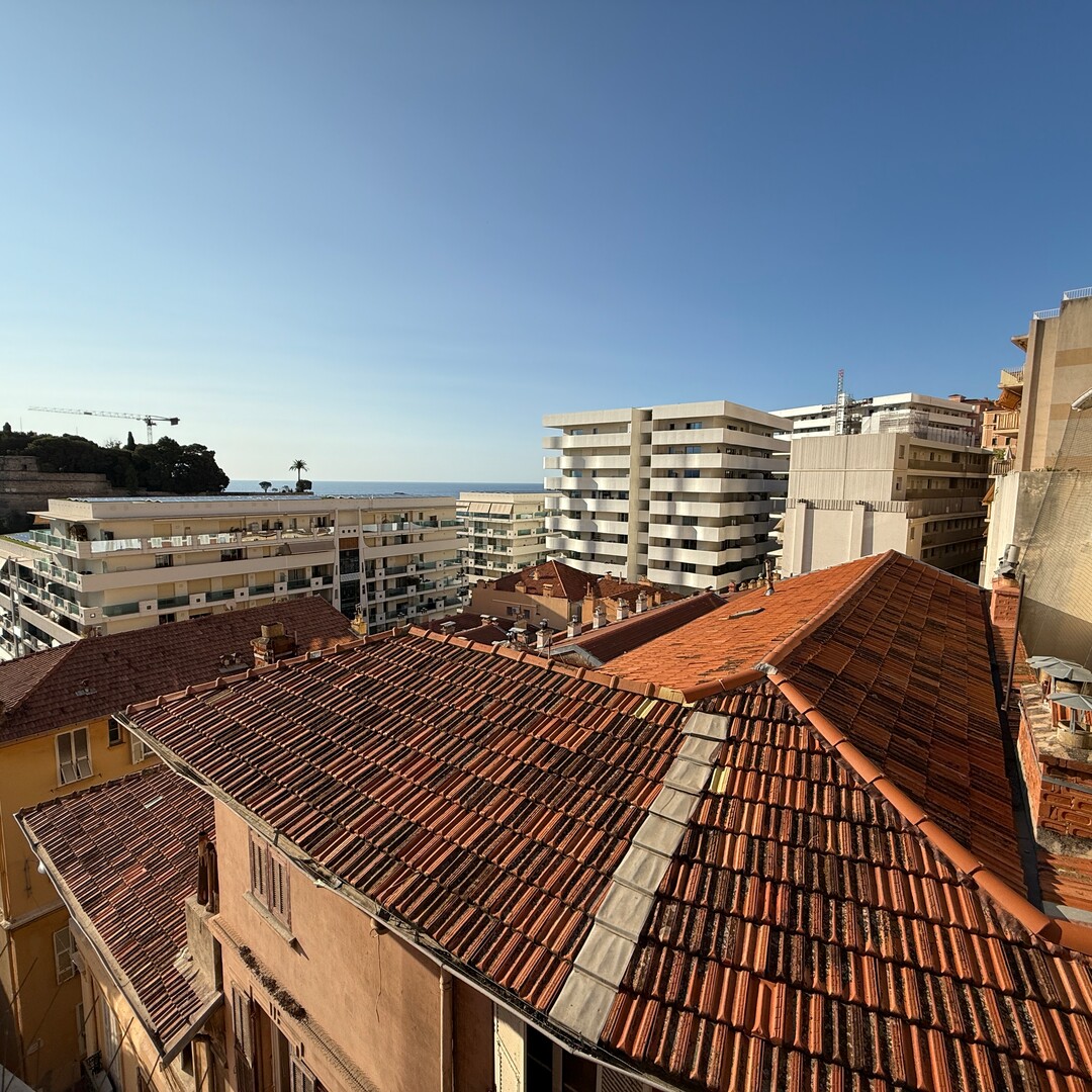 Offices, commercial lease and premises for sale or to rent in Monaco