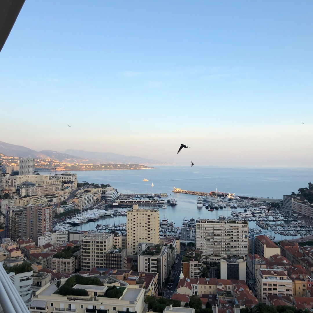 Tutte le offerte di uffici da affittare a Monte Carlo - Annunci immobiliari a Monaco