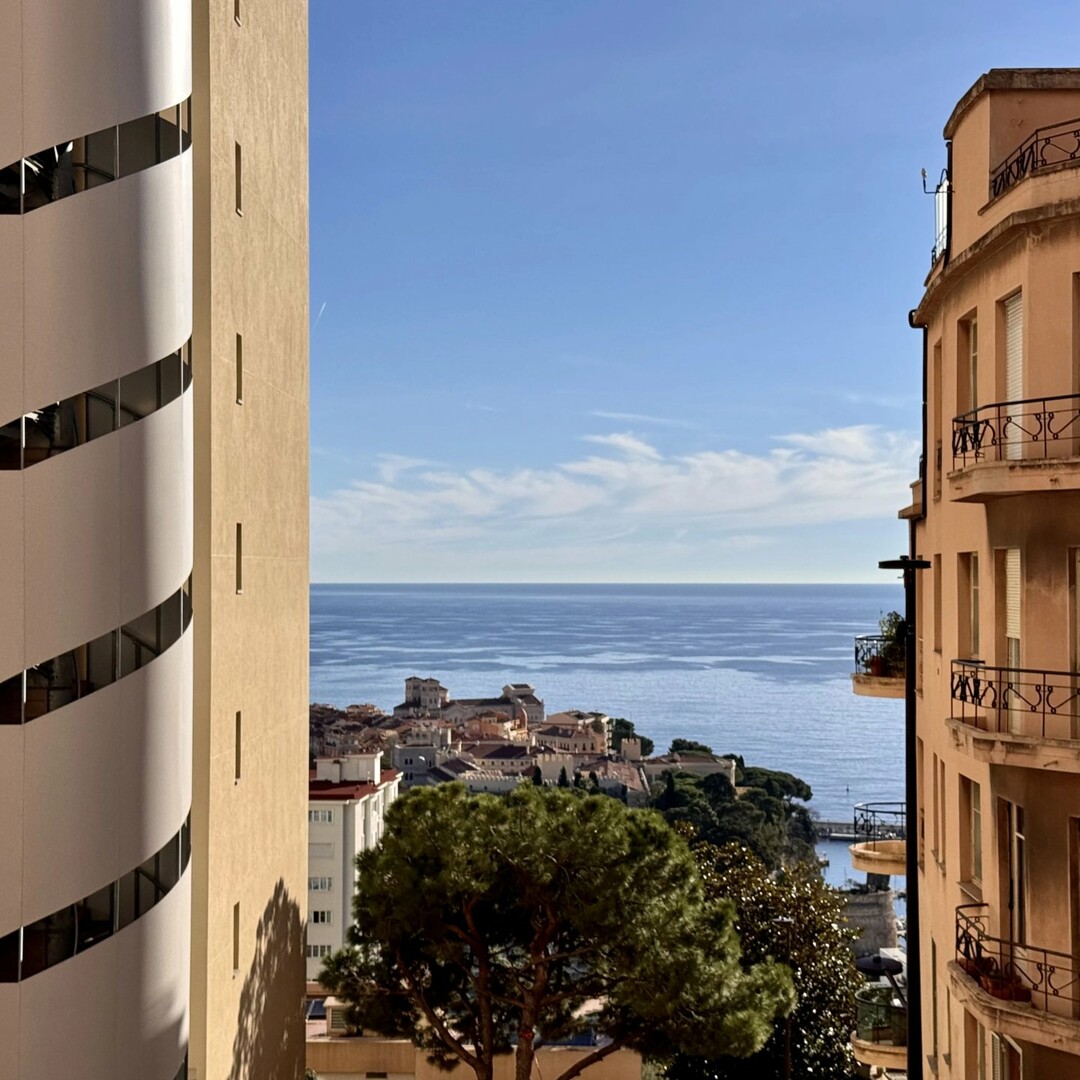 Bureaux, commerces et locaux professionnels à vendre ou à louer à Monaco