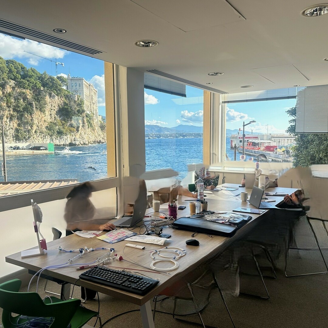 Toutes les annonces de bureaux professionnels à louer à Monaco