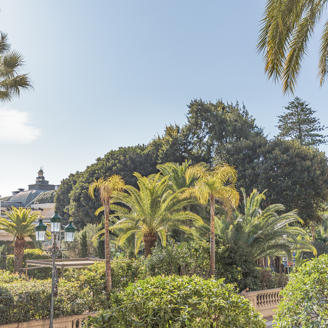 Offices, commercial lease and premises for sale or to rent in Monaco