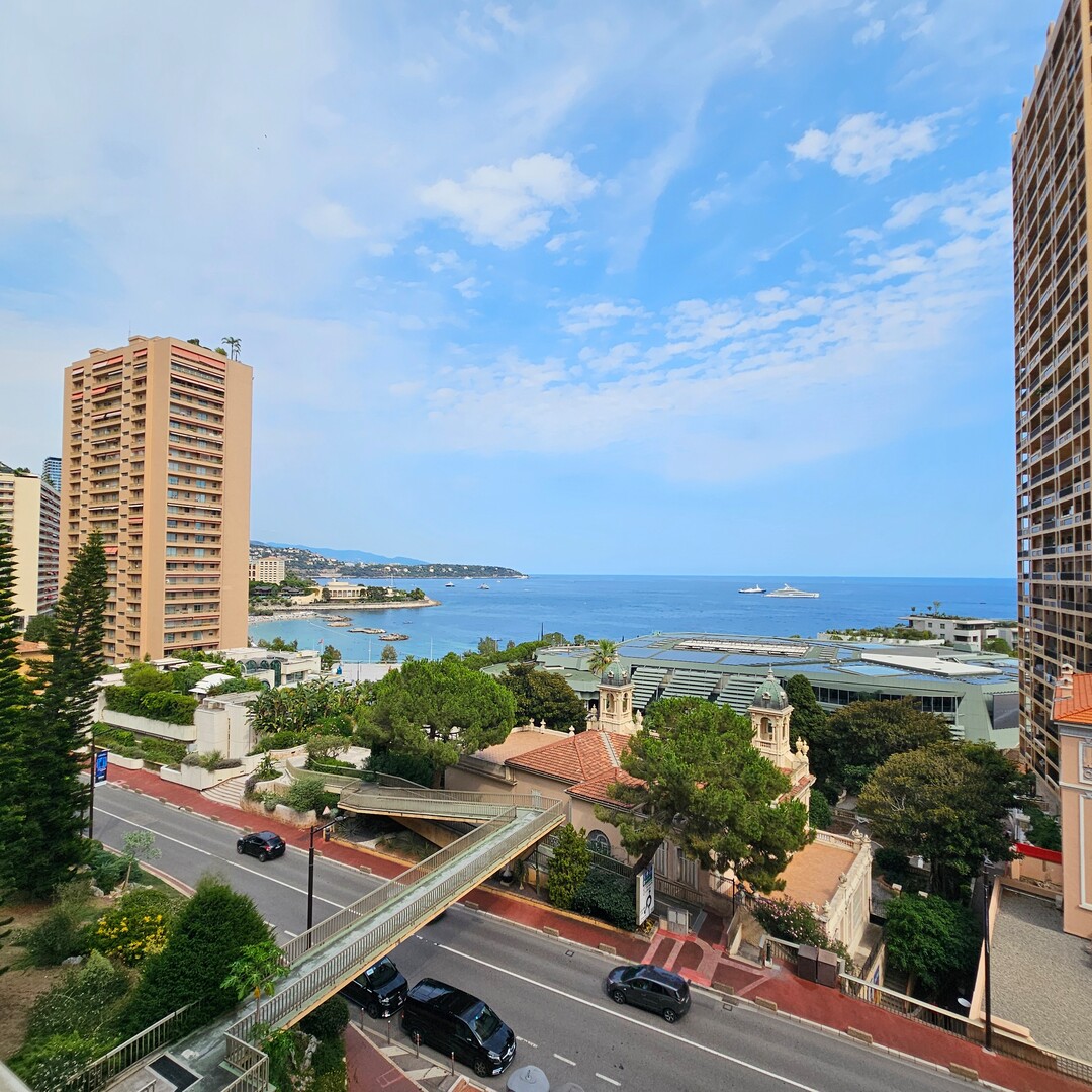 Toutes les annonces de bureaux professionnels à louer à Monaco