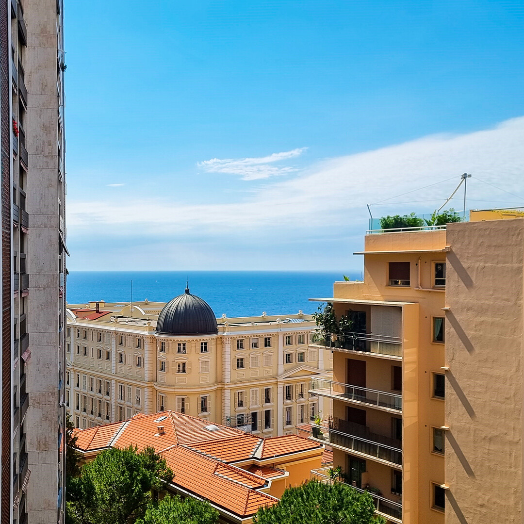 Offices, commercial lease and premises for sale or to rent in Monaco