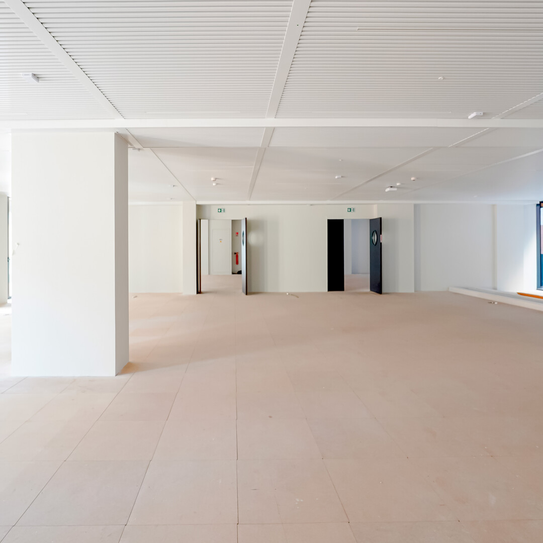 Offices, commercial lease and premises for sale or to rent in Monaco