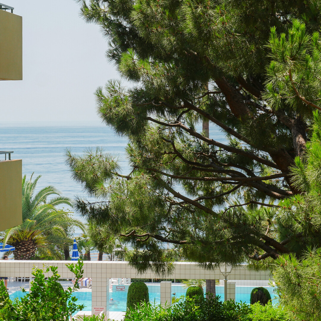 Tutte le offerte di uffici da affittare a Monte Carlo - Annunci immobiliari a Monaco