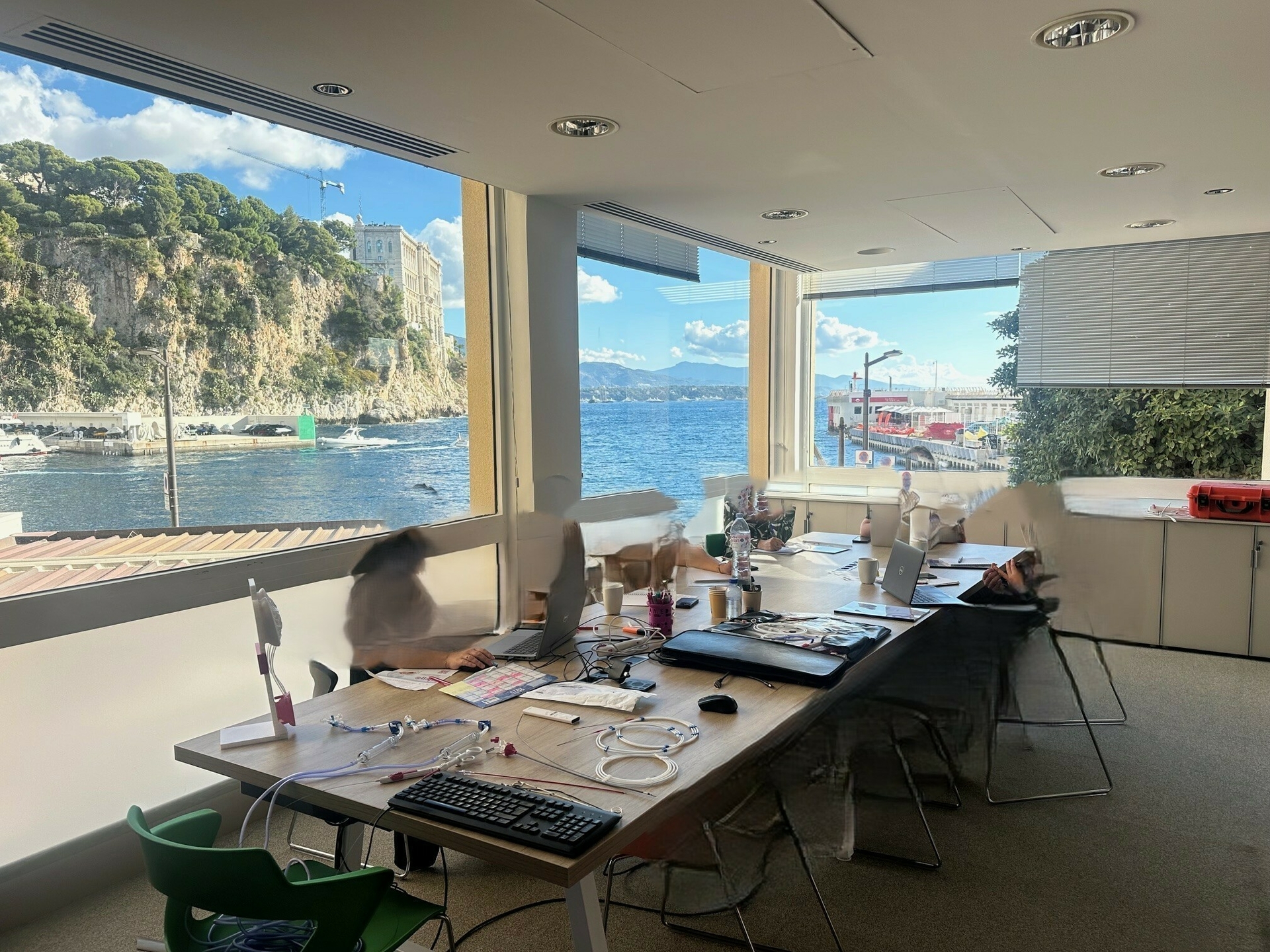 FONTVIEILLE - UFFICIO 290 M² IN AFFITTO - Uffici da affittare a montecarlo