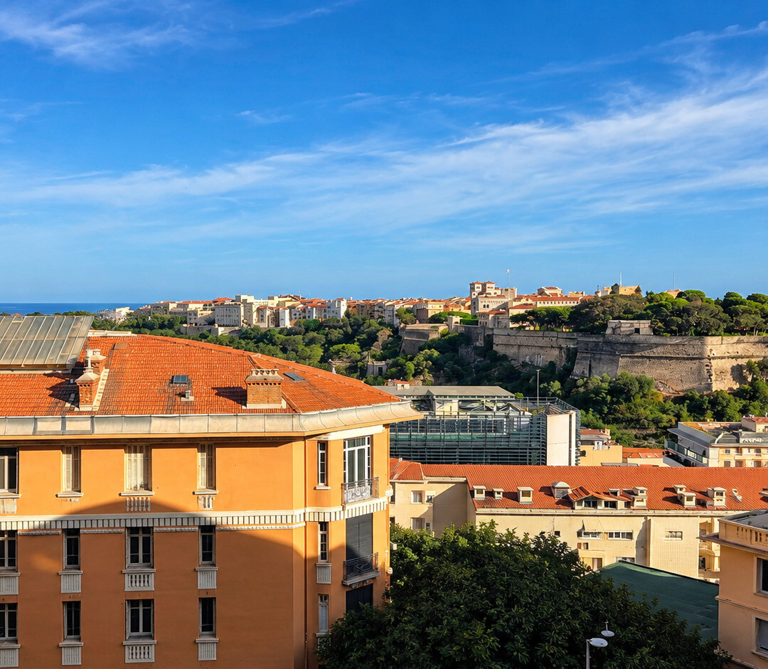 Offices, commercial lease and premises for sale or to rent in Monaco