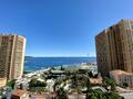 Grande terrazza di 3 camere a Trocadero - Uffici in vendita a MonteCarlo