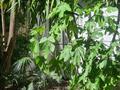 MONOLOCALE con GIARDINO. - Uffici da affittare a montecarlo