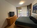 VALLESPIR - APPARTAMENTO DI 4 STANZE - Uffici in vendita a MonteCarlo