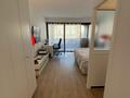 Ampio monolocale - Centrale - Le Montaigne - Uffici da affittare a montecarlo