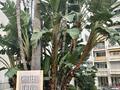 CHATEAU D'AZUR - STUDIO IN PROGRESS BY RENOVATON - Offices for rent in Monaco