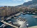 TITIEN - LOCAL COMMERCIAL REFAIT A NEUF - Bureaux à vendre à Monaco