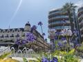 FONDS DE COMMERCE HORLOGERIE-BIJOUTERIE - Bureaux à vendre à Monaco