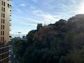 Monaco / Bel Horizon / Grande appartamento di 4 locali con parcheggio e cantina - Uffici in vendita a MonteCarlo