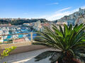 Residence Rose de France - Duplex with Roof top terrace - Offices for sale