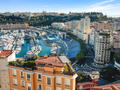 Rose de France - Duplex avec Terrasse Roof top - Bureaux à vendre à Monaco