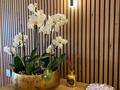 Studio di prestigio - Uffici da affittare a montecarlo
